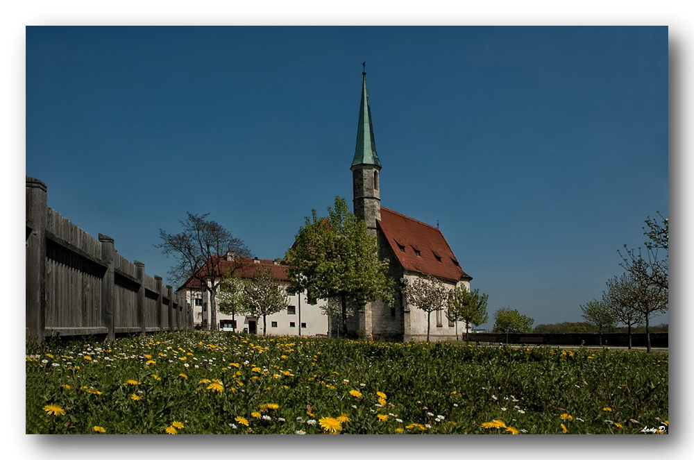 Frühling auf der Burg...