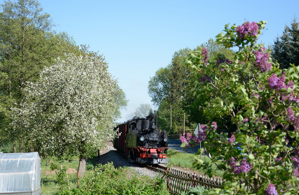 Frühling auf der Döllnitzbahn