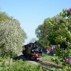 Frühling auf der Döllnitzbahn