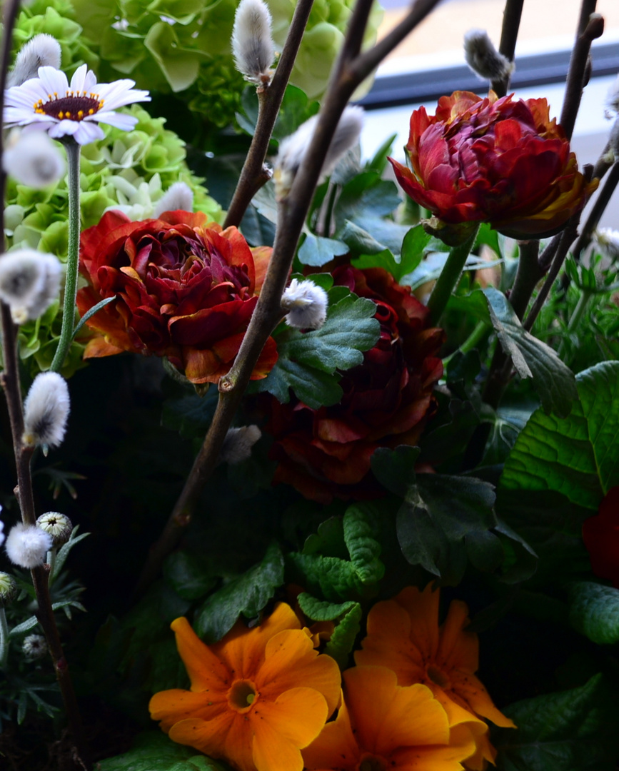 Frühling auf der Fensterbank 2