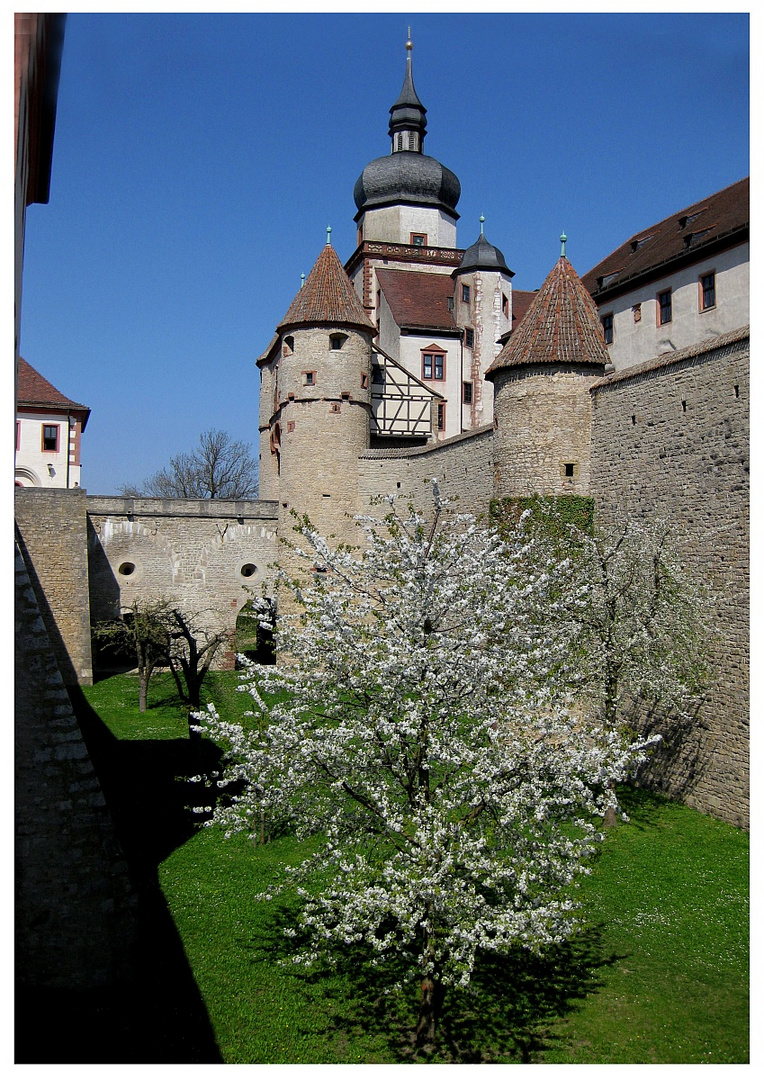 Frühling auf der Festung Marienberg