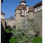 Frühling auf der Festung Marienberg