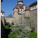 Frühling auf der Festung Marienberg