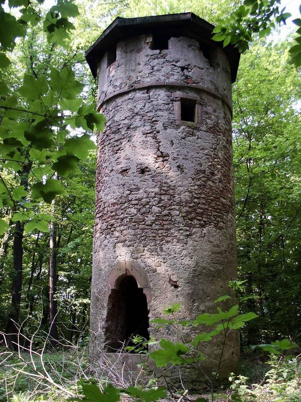 Frühling auf der Gelnhäuser Platte. Der Wartturm im Wald zu Gelnhausen.