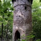 Frühling auf der Gelnhäuser Platte. Der Wartturm im Wald zu Gelnhausen.