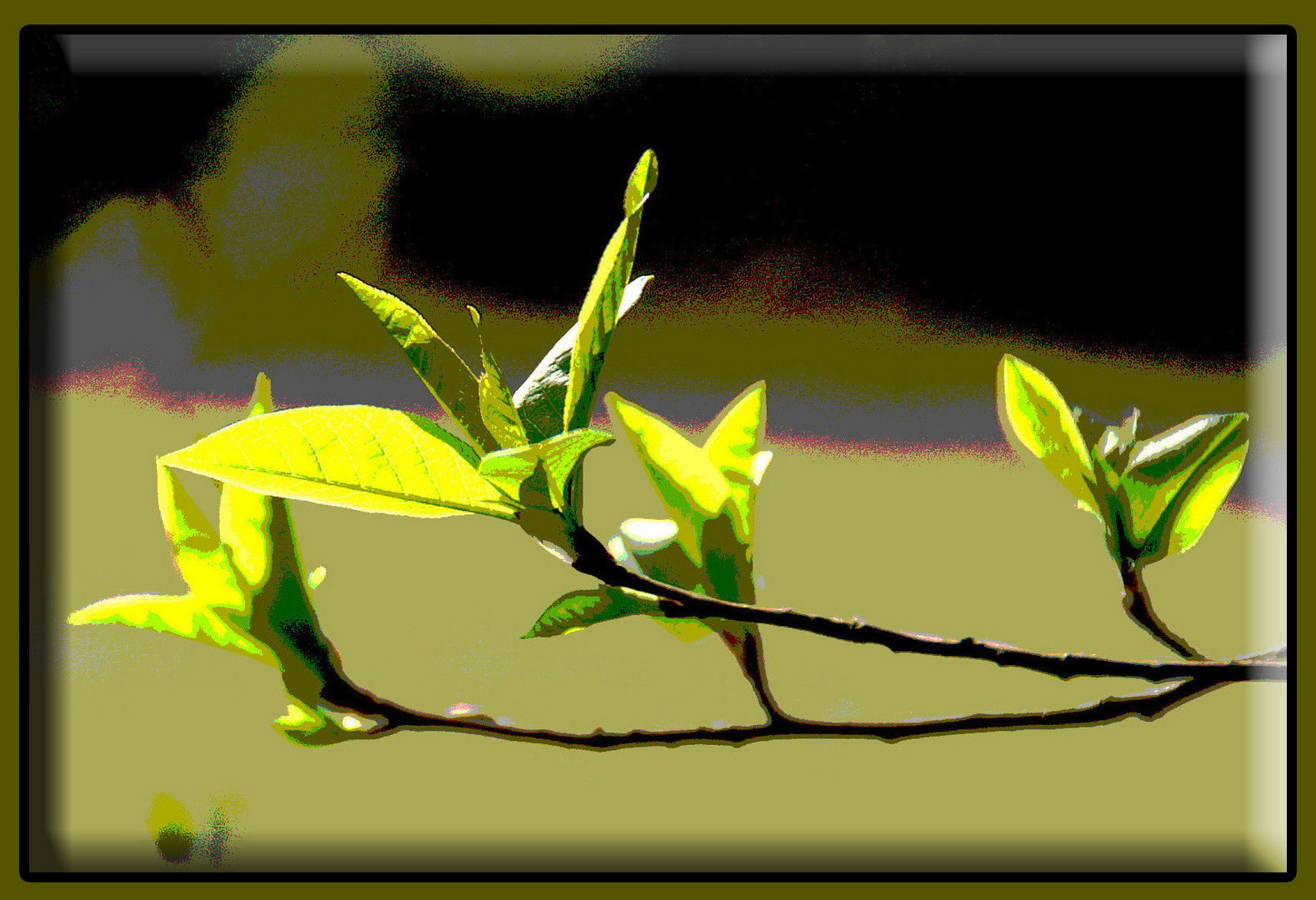 Frühling auf der Halde