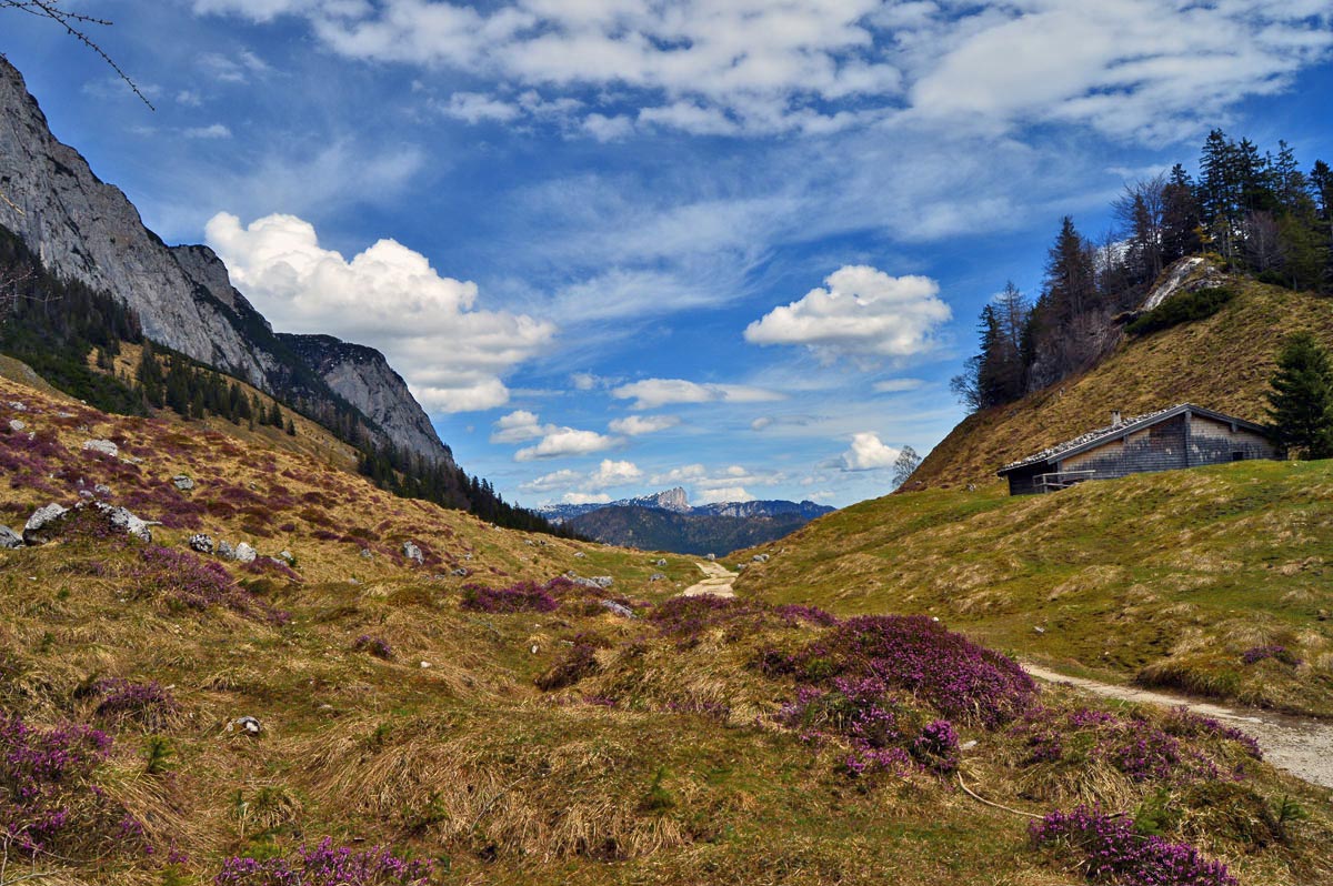 Frühling auf der Halsalm