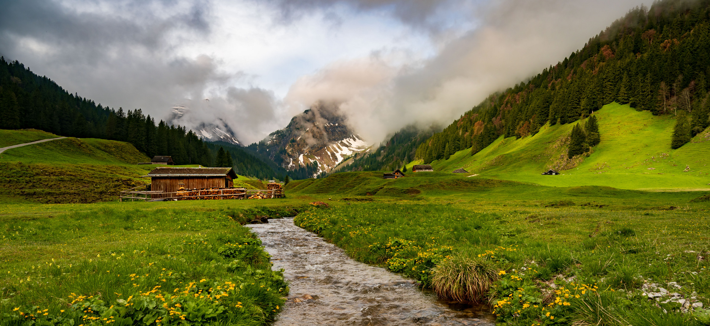 Frühling auf der Hochalp