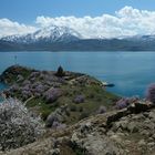 Frühling auf der Insel Akdamar.