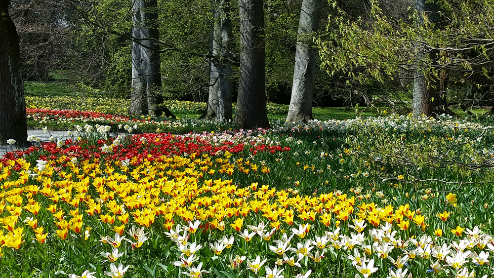 Frühling auf der Insel Mainau