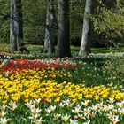 Frühling auf der Insel Mainau