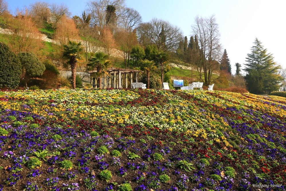 Frühling auf der Insel Mainau