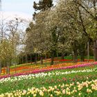 Frühling auf der Insel Mainau