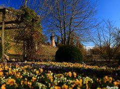 Frühling auf der Insel Mainau I