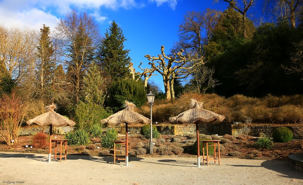 Frühling auf der Insel Mainau II