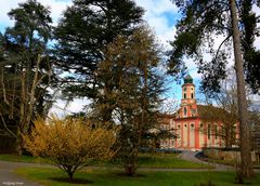 Frühling auf der Insel Mainau IV