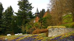 Frühling auf der Insel Mainau V