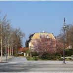 Frühling auf der Kurpromenade