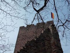 Frühling auf der Landeck