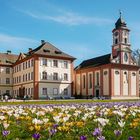 Frühling auf der Mainau...