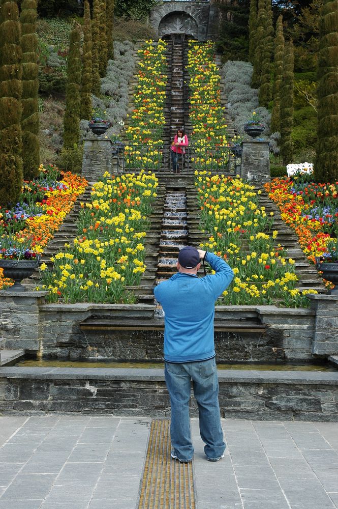 Frühling auf der Mainau