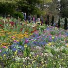 Frühling auf der Mainau DSC_5357