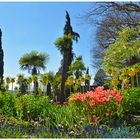 Frühling auf der Mainau, Mainau im April