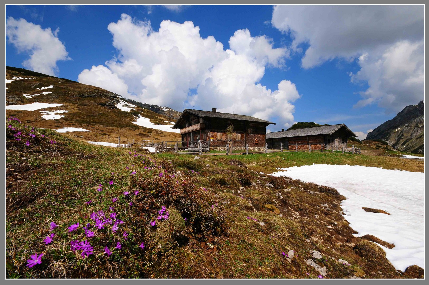 Frühling auf der Oberhütten - Alm bei Forstau