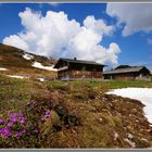 Frühling auf der Oberhütten - Alm bei Forstau