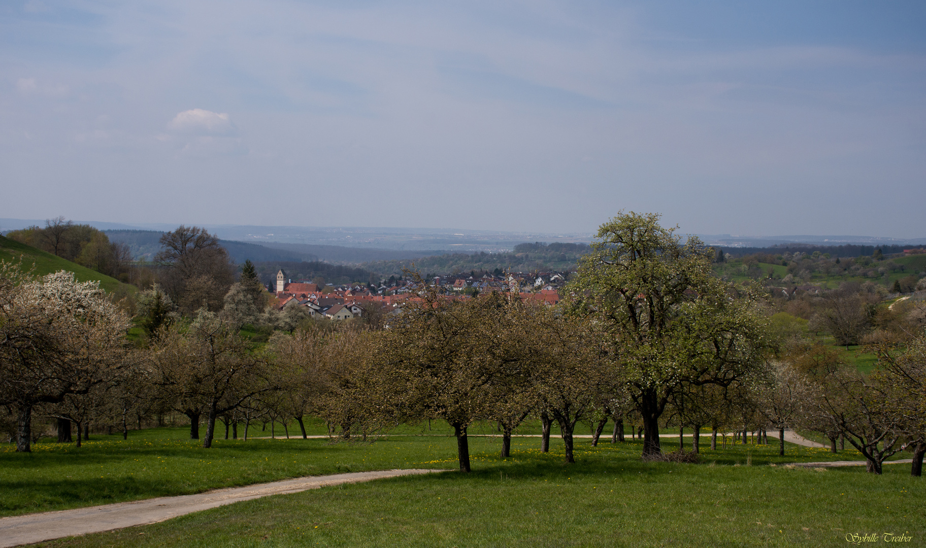 Frühling auf der Schwäbischen Alb