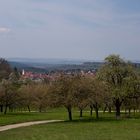 Frühling auf der Schwäbischen Alb