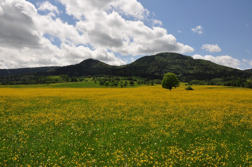 Frühling auf der Schwäbischen Alb