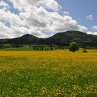 Frühling auf der Schwäbischen Alb