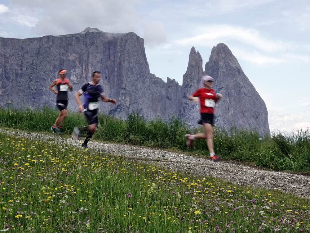 Frühling auf der Seiser Alm 24