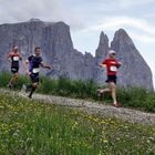 Frühling auf der Seiser Alm 24