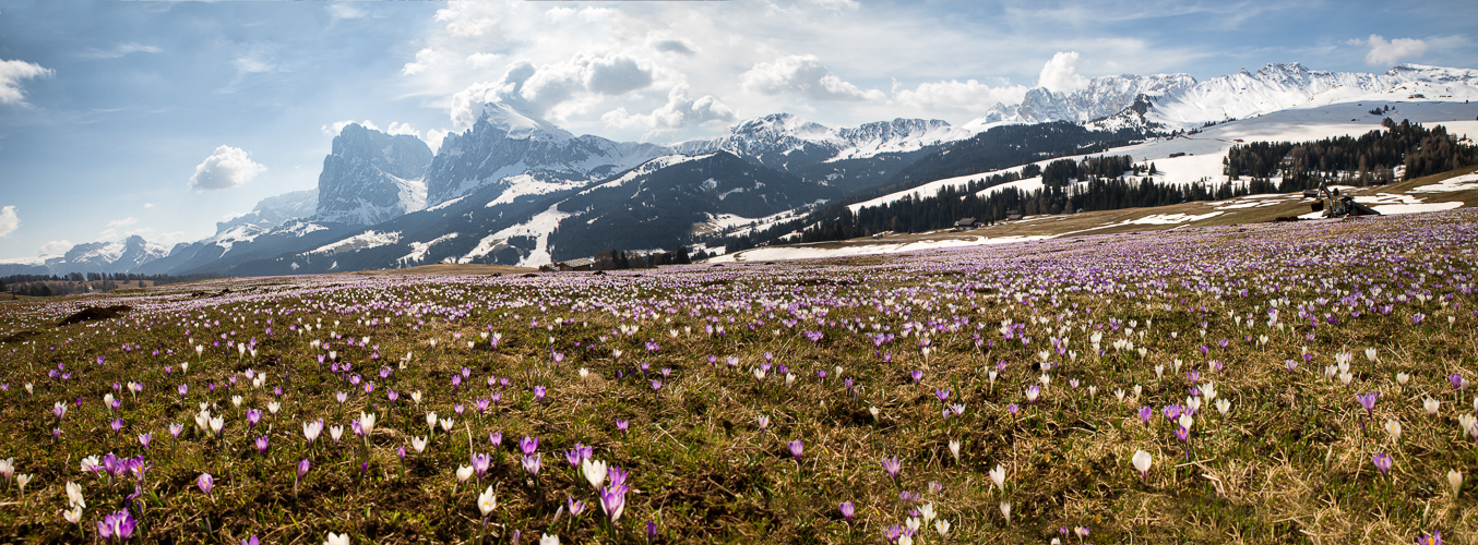 Frühling auf der Seiser Alm