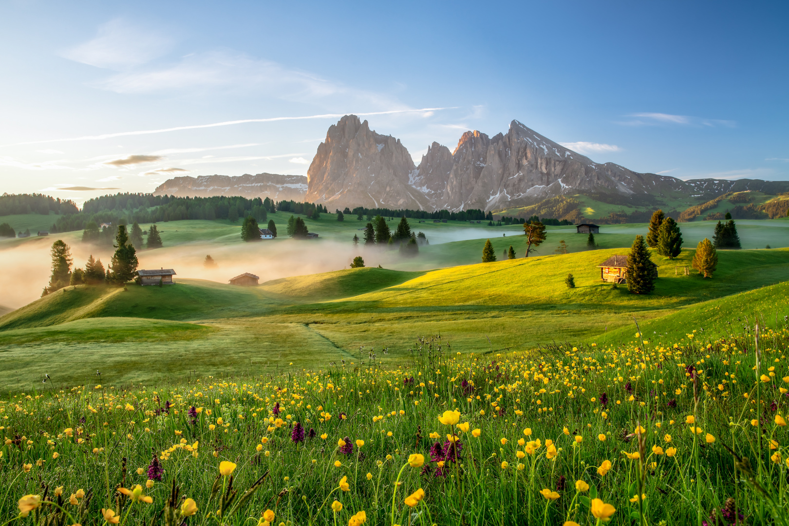 Frühling auf der Seiser Alm