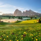 Frühling auf der Seiser Alm