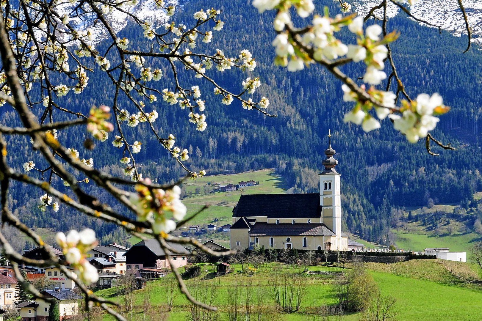 Frühling auf der Sonnenterasse St. Veit