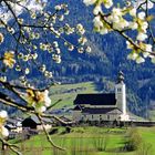 Frühling auf der Sonnenterasse St. Veit