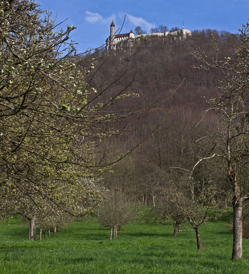 Frühling auf der Teck