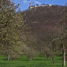 Frühling auf der Teck