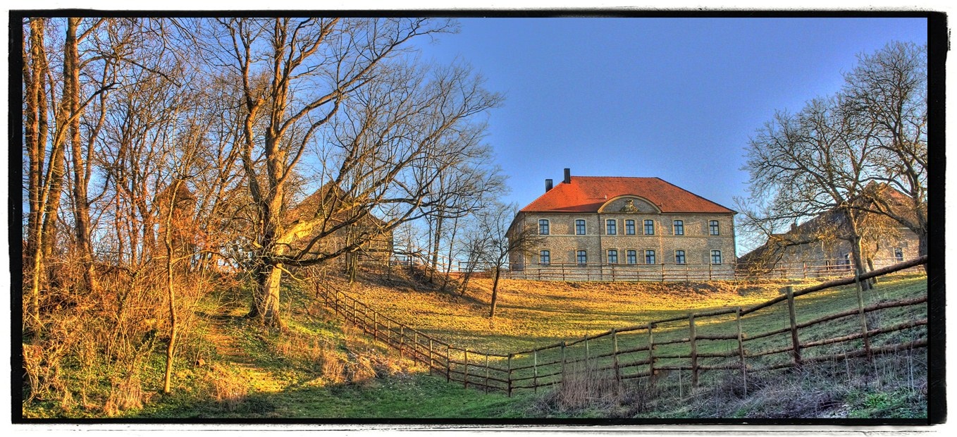 Frühling auf der Weininsel II