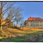 Frühling auf der Weininsel II