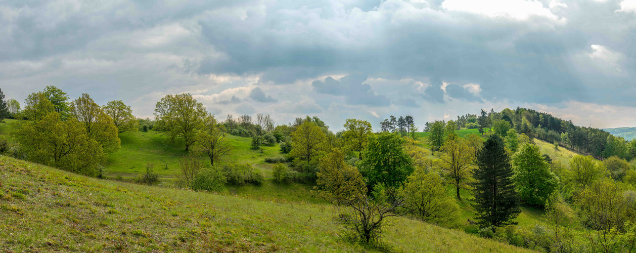 Frühling auf der Weper