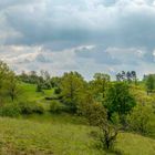 Frühling auf der Weper