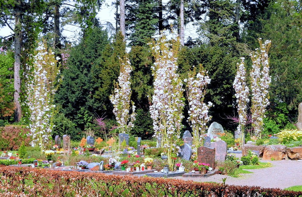 Frühling auf einem Kölner Friedhof