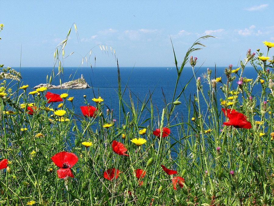 Frühling auf Elba