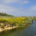 Frühling auf Gozo...