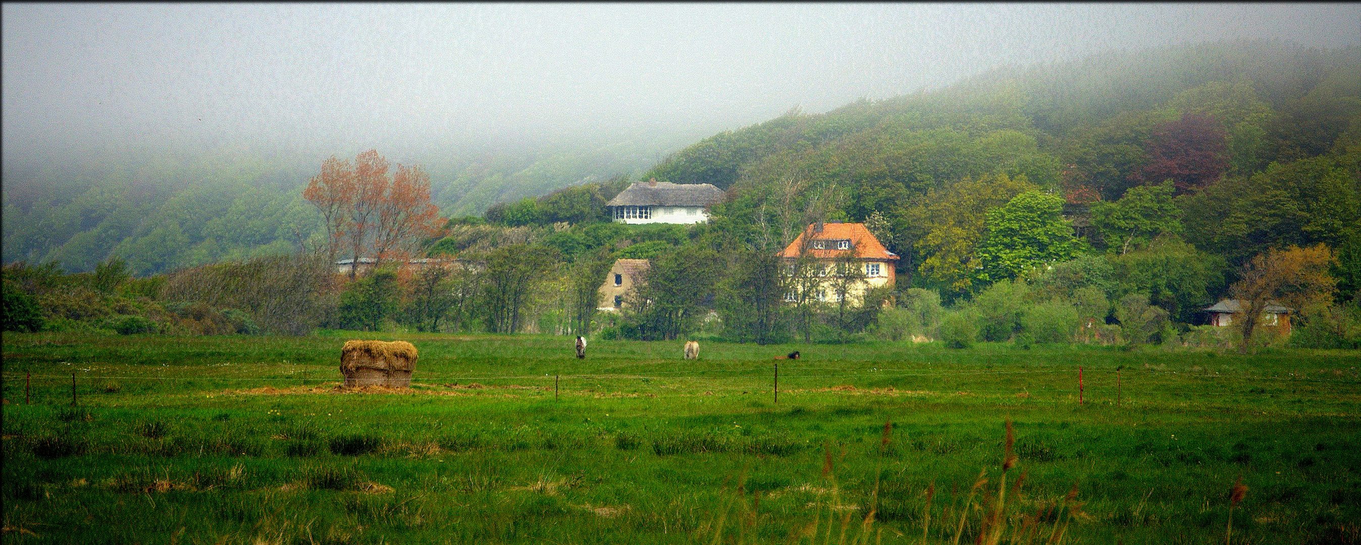 Frühling auf Hiddensee